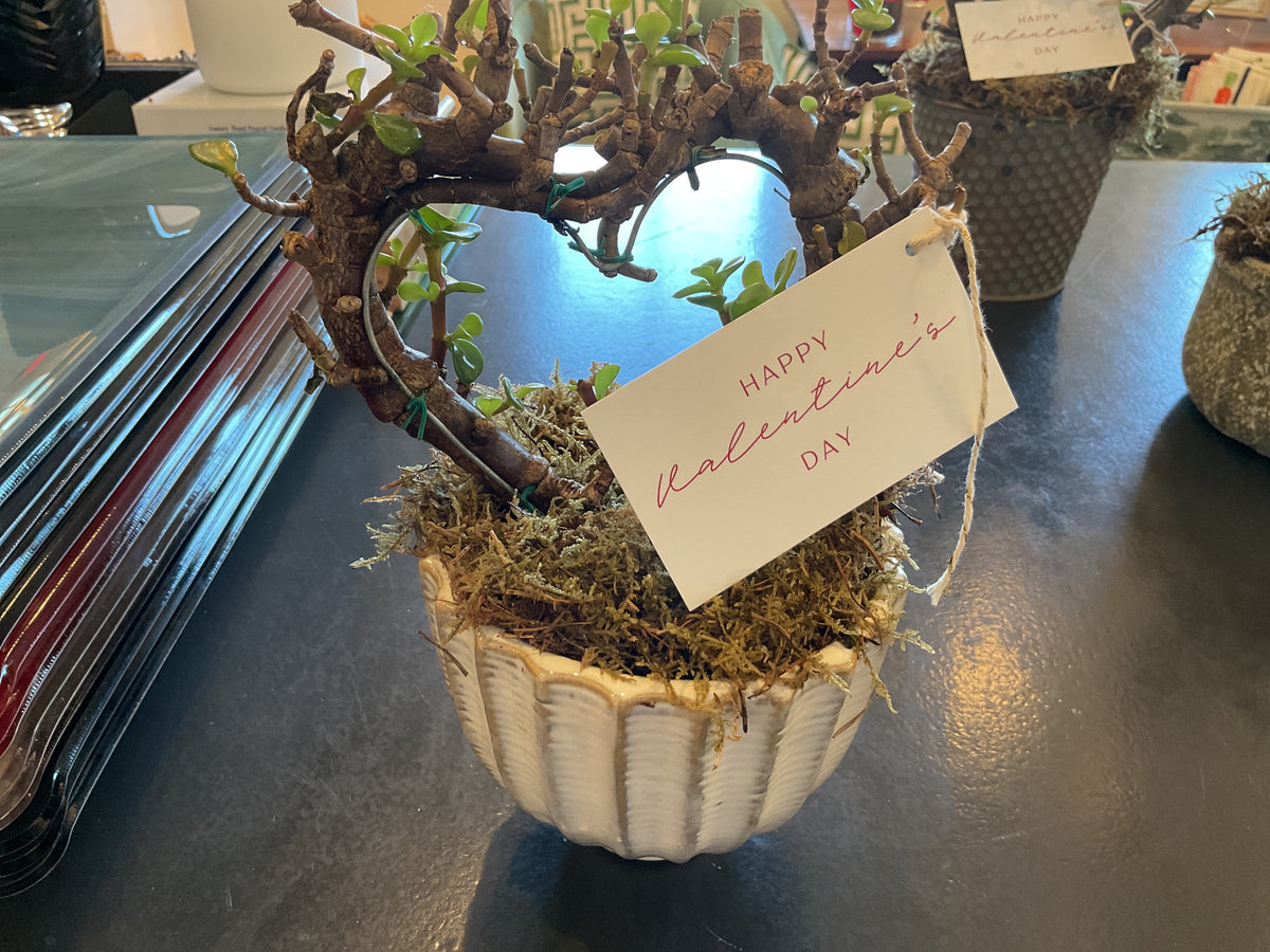 White ceramic bonsai tree heart