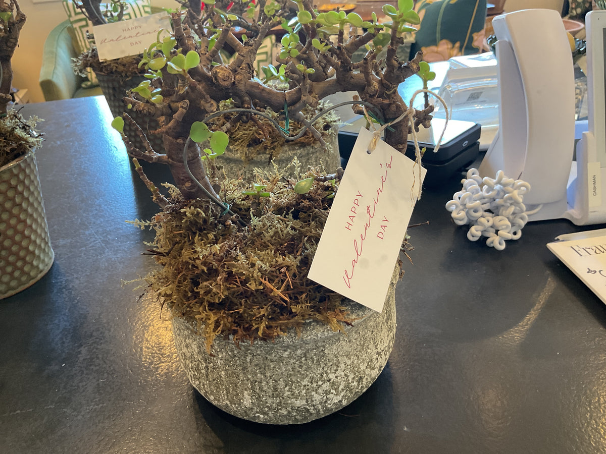 Green stone bonsai tree heart