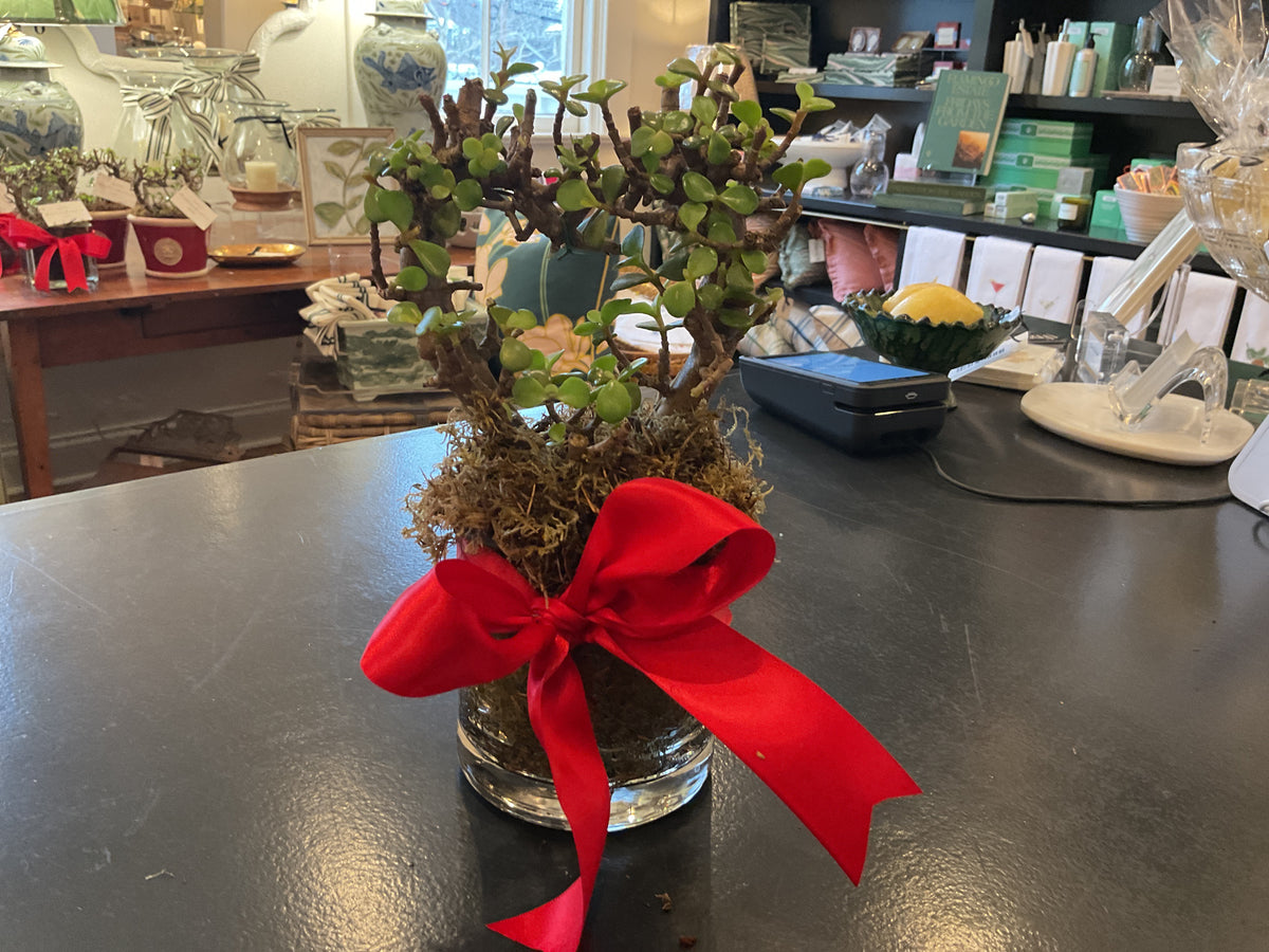 Small clear vase with heart bonsai