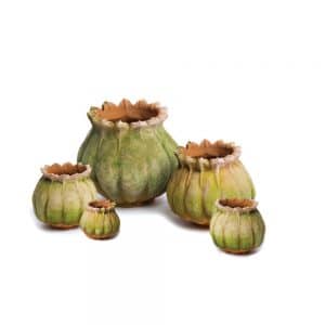 Aged Poppy Planter