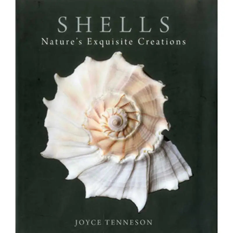 Shells