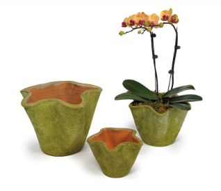 Aged Star Planter - Medium