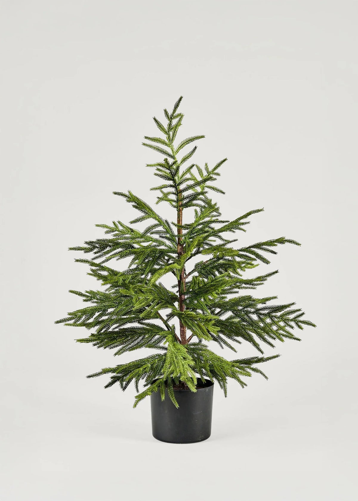 Artificial Norfolk Pine Tree 36" w/ Lights