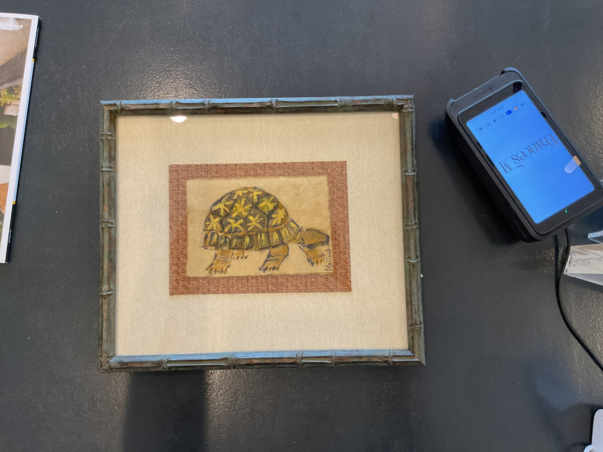 Indian Star Tortoise by Melissa Crase