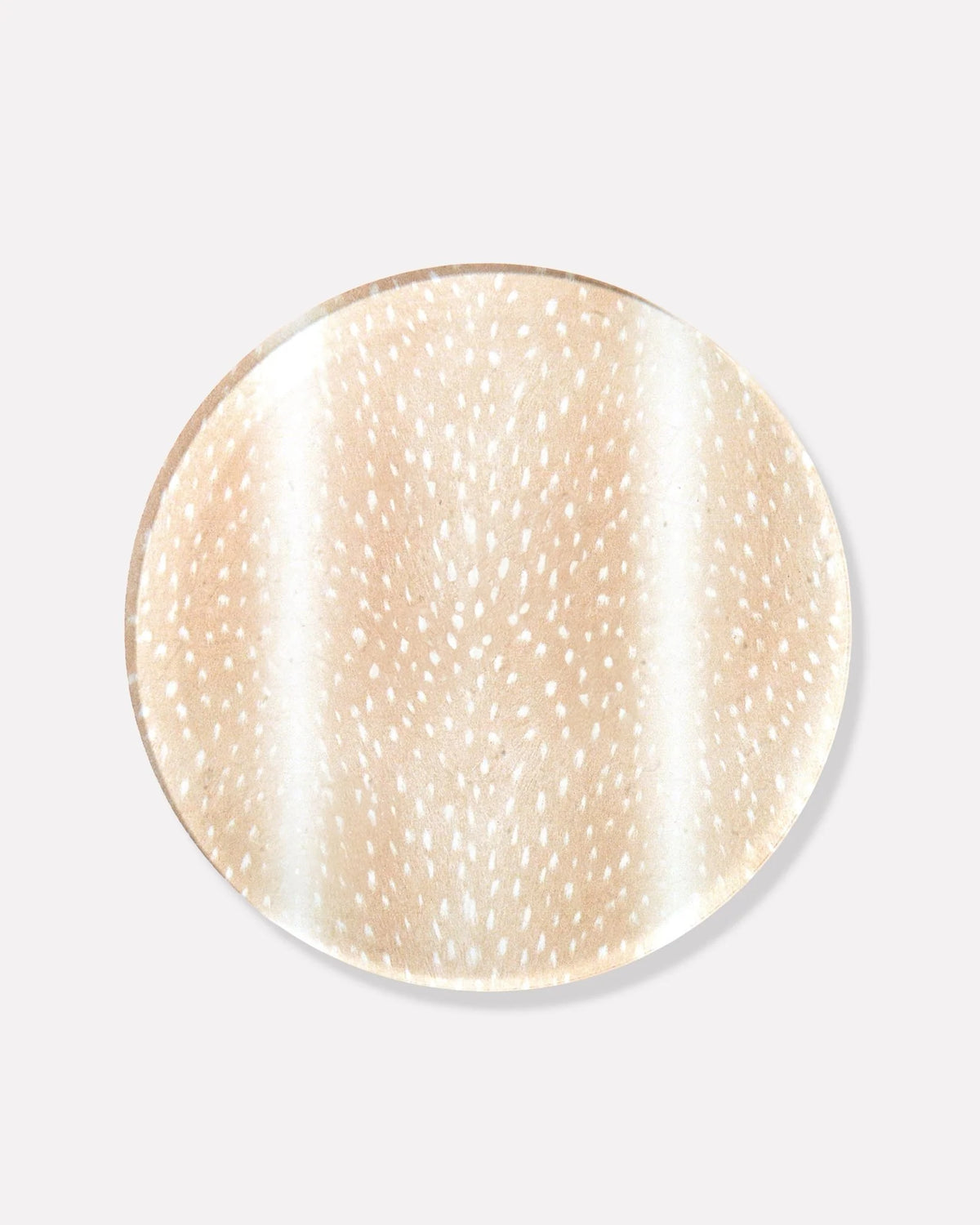 Coasters - Boxed Set of 4