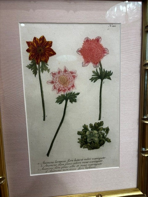 Floral Botanical Print