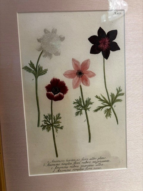 Floral Botanical Print