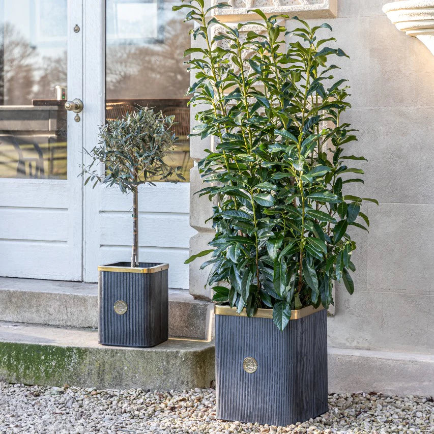 Kew Antique Square Lead Richmond Planter