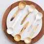 Long Handle Horn Coffee Scoop
