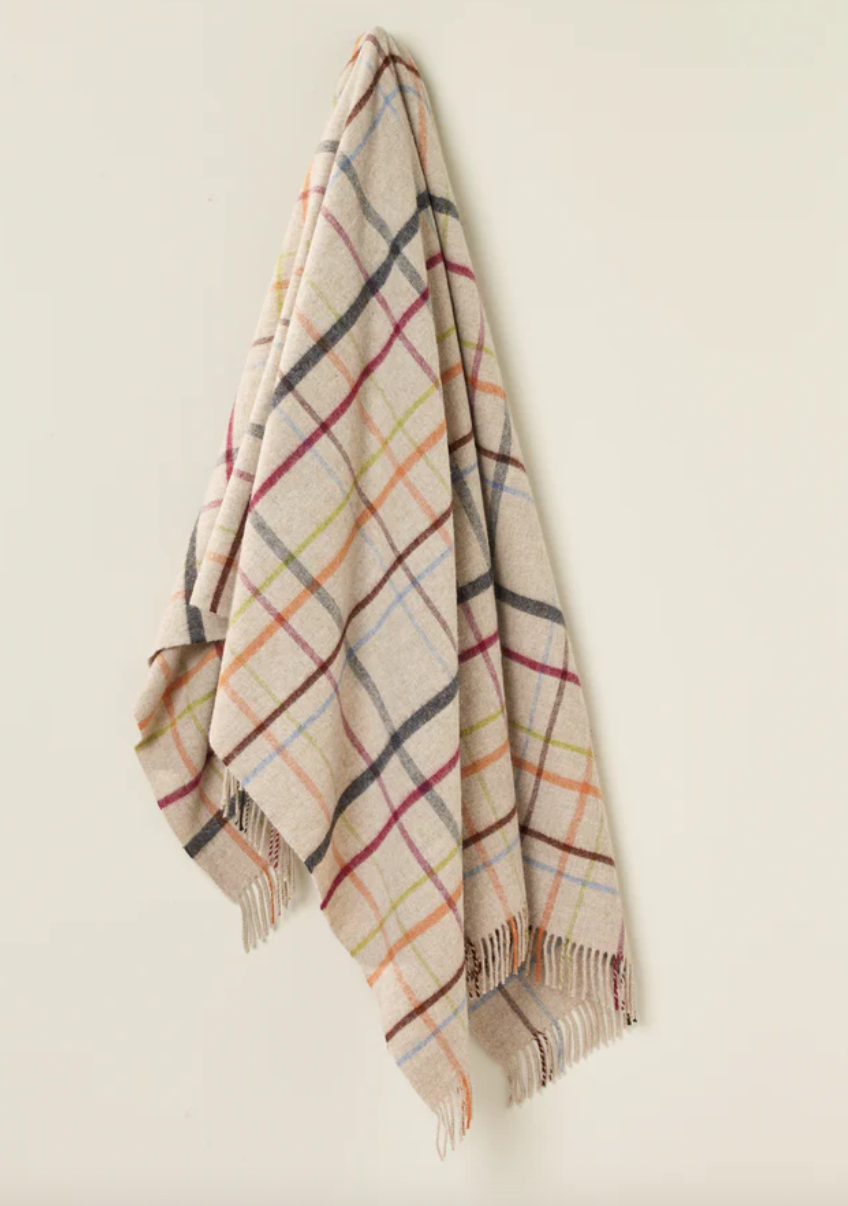 Contemporary Windowpane Multi Color Blanket